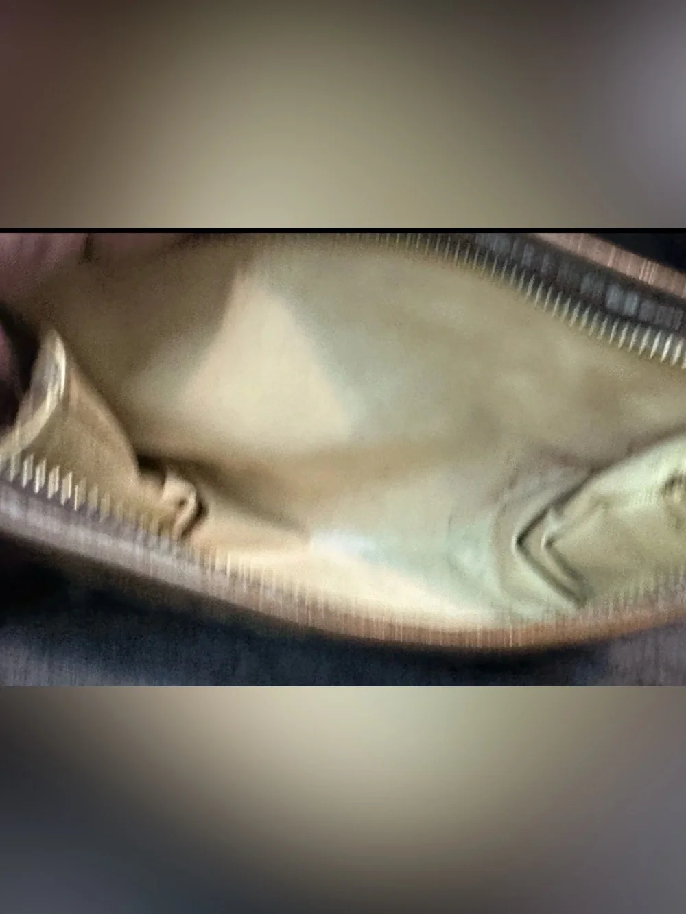 Dior Brown and Beige trotter Toiletry Pouch